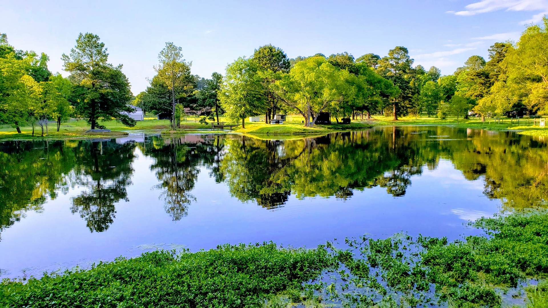 Tree-lined pond reflecting the sky at Marshall RV Park