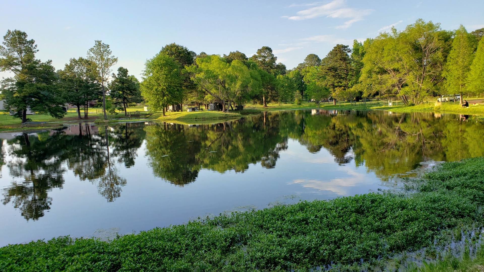 Calm pond surrounded by green trees at Marshall RV Park