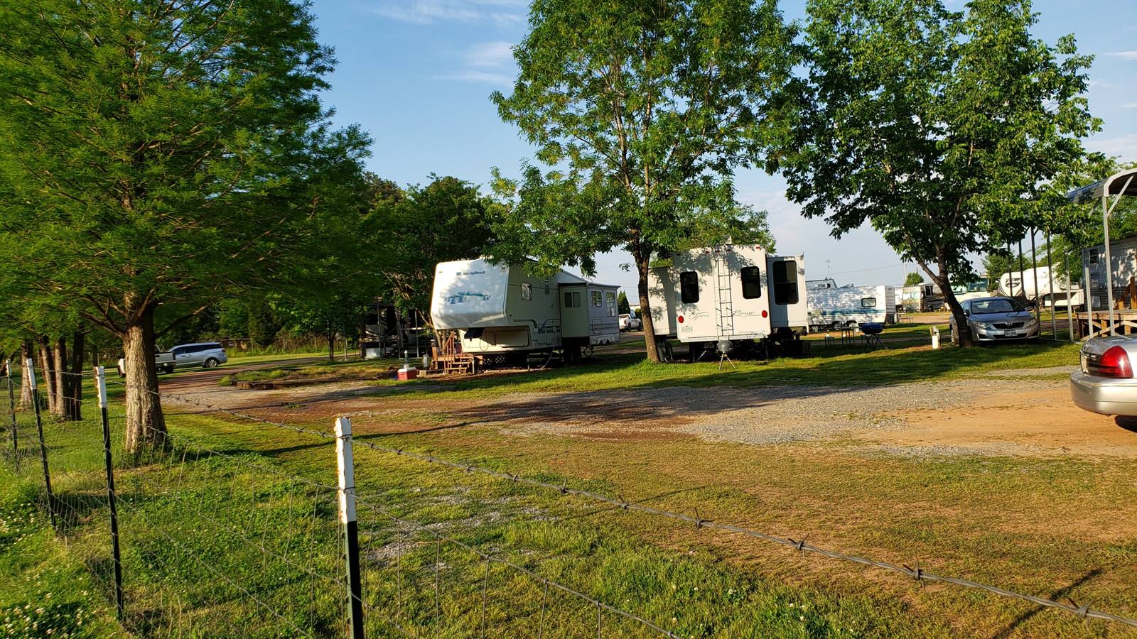 RVs parked among trees