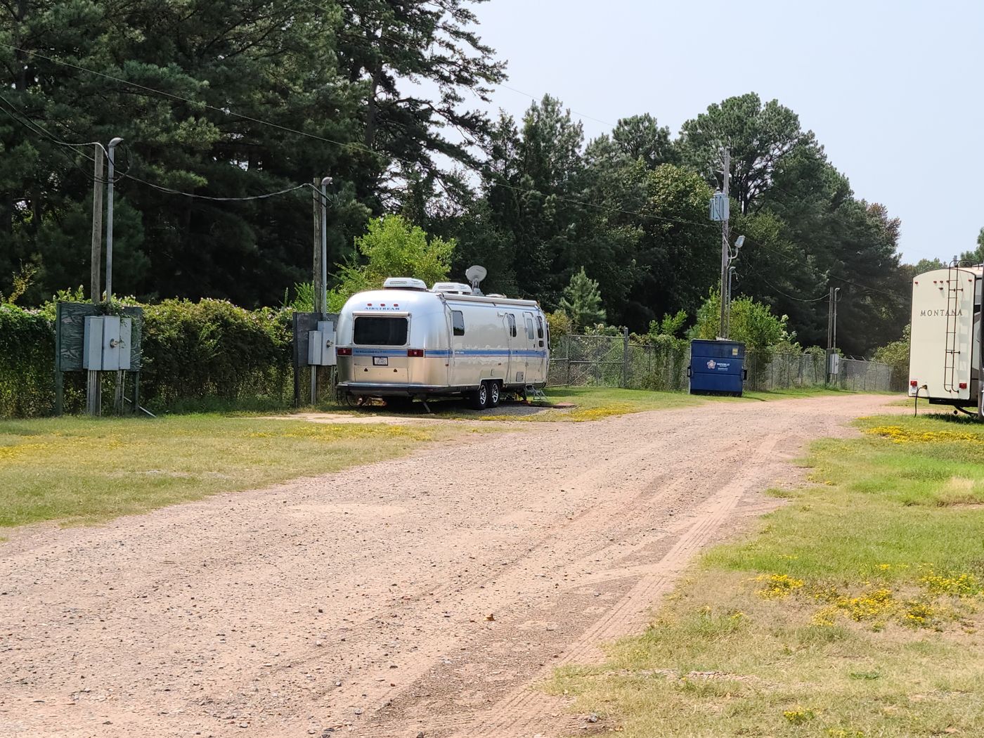 Gravel drive and RV sites under the pines at Marshall RV Park