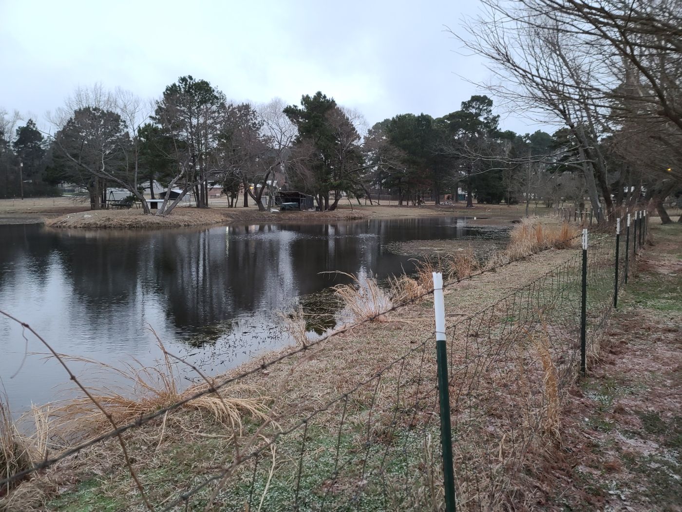 Late-winter evening at the pond