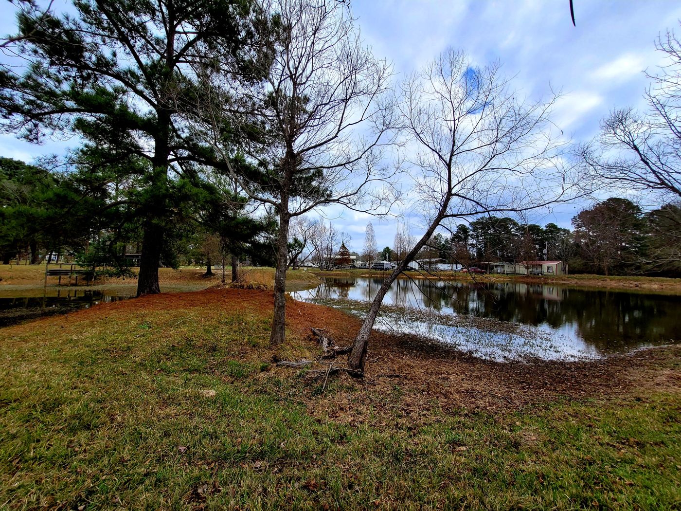 The pond under winter trees