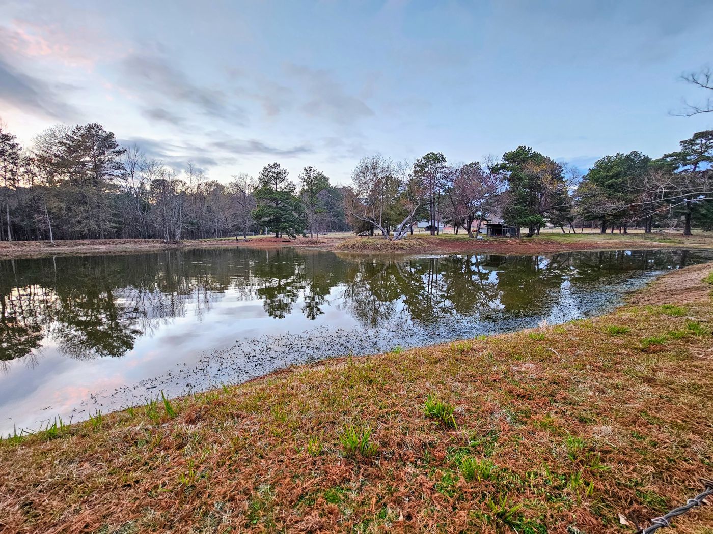 Evening at the fishing pond